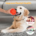 petizer 6 Pack 2.5” Squeaky Dog Toy Balls, Floating Dogs Pool Balls, Spiky Dog Balls, Durable Interactive Fetch Toys for Puppy, Dog Chew Toys for Teething (2.5", Small Dog)