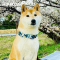 Hikiko Martingale Dog Collar Without Buckle,Escape Proof No Pull,M