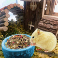 kathson 2 Pcs Hamster Food Bowl Guinea Pig Ceramic Water Bowl Small Animal Feeding Dish for Dwarf Hamster Gerbil Syrian 