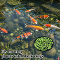 JJUNW 5 Pcs Aquarium Floating Plant Corral, Fish Feeding Ring Fish Tank Aquarium Floating Plants Barrier, 5 Sizes of Flo