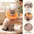 Cat Donut Collar, M Size Adjustable Cat Cone Collar for Kittens