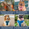 DJANGO Adventure Dog Harness - Padded & Adjustable