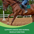 Equine Calming Supplement for Mares, Supports Balanced Behavior, Mood & Muscle Function, Herbal Powder with Vitamin E & 