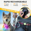 Tubasion 2-Pack Dog Lights for Night Walking, Upgraded 8 Modes Rechargeable Dog Collar Lights for Nighttime Clip On, IPX
