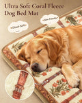 Exsnugy Dog Crate Pad,Boho Washable Dog Bed Mats for Medium Pets, 35x22