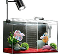 Fish Tank, 3 Gallon Ultra-Clear Glass Fish Aquarium, with Separator Plate for Betta, Fish Tank Starter kit with Filter a