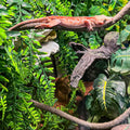 HERCOCCI Reptile Vines, Flexible Jungle Climbing Vines Terrarium Plastic Plants and Leaves Tank Accessories Decor for Ge