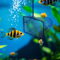 3 Aquarium Fish Net Fine Mesh Quick Catch Skimmer 4/5/6 Inch Blue