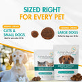 AminAvast Small Dogs & Cat Kidney Support - Promotes Healthy Kidney Support in Cats & Small Dogs - 300mg, 60 Capsule