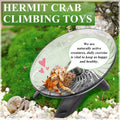 Hermit Crab Exercise Wheel - Silent Running Wheel for Crab Tank Accessories - Small Animal Wheel for Hamster Gerbils Hed