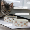 Pearhead Ceramic Cat Bowl, Holds 12 oz, Whisker-Friendly Pet Dish for Food and Water, Cute Cat Face Design