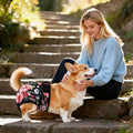 Washable Reusable Female Dog Diapers(5 Pack) Small Medium Large Doggie Puppy & Doggy Dog Diaper, Period Panties in Heat