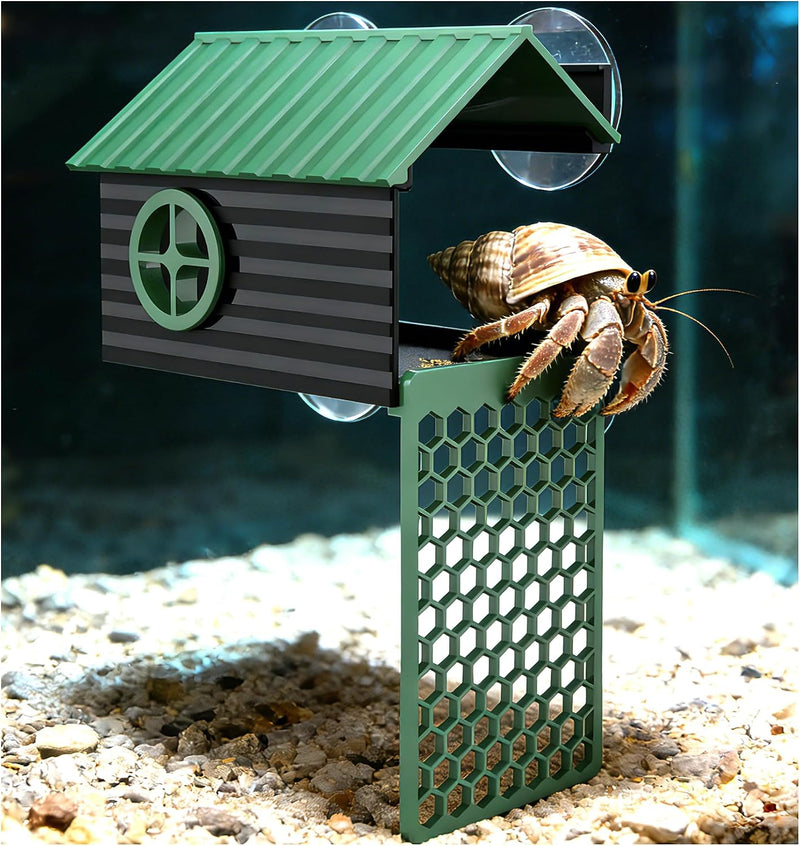 Multi-Functional Hermit Crab Hideaway | Hermit Crab Foraging cave with Ladder | Hermit Crab Climbing wall Toy | Hideout 