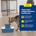 PetSafe Drinkwell Pet Fountain Replacement Carbon Filters, 12 Filters