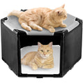 BETYMAN Elevated Cat Hammock Bed with Privacy Fence, Portable Raised Dog Cat Bed, Breathable Mesh & Anti-Slip Feet for Indoor Outdoor Use, Easy to Clean & Carry, Without Mat