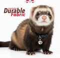 Marshall Pet Ferret Bell Collar Royal Blue