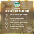 Oxbow Timothy Hay & Orchard Blend, Rabbit & Guinea Pig Hay, USA, 40 oz