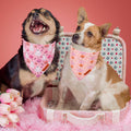 ADOGGYGO Pink Halloween Dog Bandanas Girl, Ghost Pumpkin Dog Scarf