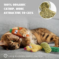 Pawsible Cat Toys for Indoor Cats, 100% Pure Organic Catnip-Filled Toys Without Cotton, Interactive Cactus Kitten Toy for Anxiety Relief, Soft Cute Teething &Chew Toys, 5 Pack