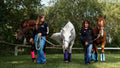 Warrior Fly Boots for Horses - Breathable Mesh Horse Boots for Fly Protection & Leg Comfort - Set of 4 (Trojan Warrior, 