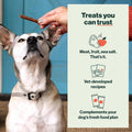 The Farmer's Dog Snap Sticks, Human Grade Dog Treats, Beef & Apple 3oz