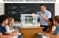 Egg Incubator Tumbler, 50mm Fish Hatchery for Cichlid Breeding