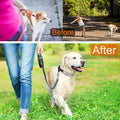 Pinch Collar for Dogs Adjustable Dog Training Collar