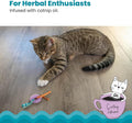 Catstages Kitty Chew Wheel, Dental Cat Toy with Catnip Oil, Teeth Cleaning, Healthy Chewing, Boredom Relief, Kicking & B