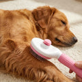 Cat Brushes for Indoor Cats, Soft Silicone Self Cleaning Pet Grooming Brush