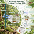 Upgrad Jumping Spider Magnetic Water Feeding Dish for Small Pet