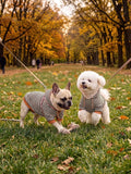 Haloumoning Dog Striped Hoodies Sweatshirt Pets Warm Sweatshirt Costume