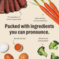 The Honest Kitchen Grain Free Beef & Superfoods Whole Food Clusters, Human Grade Dry Dog Food for Small Breeds, Vet-Craf