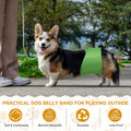Belly Bands for Male Dogs,3Pcs