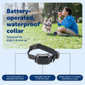 PetSafe Stay & Play Wireless Fence, 2 Dog, Up to 3/4 Acre