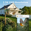 HIXX x COOLFLY Bird Feeder with Camera Solar Powered, Free AI Bird ID
