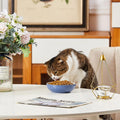 5.19 in Ceramic Cat Dishes, Howise Shallow Cat Food Bowls Small Pet Bowls Cat Food Dish for Food and Water, 3 Pack Ceramic Cat Bowls, Navy