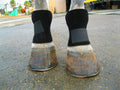 Bedsore Boots for Horses -Equine Leg Protection for Pressure Sores & Ulcers- Neoprene Stall Boots, Heal Wounds Faster, E