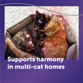 FELIWAY Optimum Cat Calming Diffuser Kit and 1 Pack Refill – Advanced Support to Help Reduce Urine Spraying, Scratching,