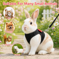 Black Rabbit Harness and Leash Set with Cute Bow for Small Pets