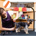 Pet Dog Grooming Loop, Nylon Restraint Noose Adjustable Fixed Dog Cat Safety Tether Straps Dog Grooming Supplies for Pet Grooming Table Bathtub - 6 Pack / 6 Color