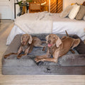 NOAH & PAW XXL Dog Bed, Orthopedic Memory Cooling Foam (2X Base) 55x45x11in