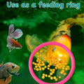 Betta Fish Enrichment Toys Ring with Mirror and Floating Ball, Exercise Mirrors and Training Ring, Floating Mirrors Aqua