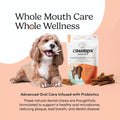 Crumps' Naturals Plaque Busters Advanced - Whole Mouth Care Dental Sticks 9.5oz
