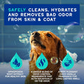 DOUXO SPA Dog Shampoo for Smelly Dogs, 16 fl oz, Hydrates the Skin, Removes Bad Odor, Leaves the Coat Soft and Smelling Great, Ultra-Safe Formula