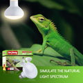 Reptile Heat Lamp Bulb, 100 Watt UVA Daylight Basking Spot Light for Bearded Dragon, Turtle, Lizard, Snake, Tortoise, Ch
