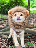 Lion Mane Wig for Cat,Dog and Cat Costume,Funny Pet Cat Costumes for Halloween Christmas, Parties, Photo Shoots