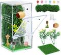 Escape-Proof One-Piece Jumping Spider Enclosure Accessories, Terrarium Kit