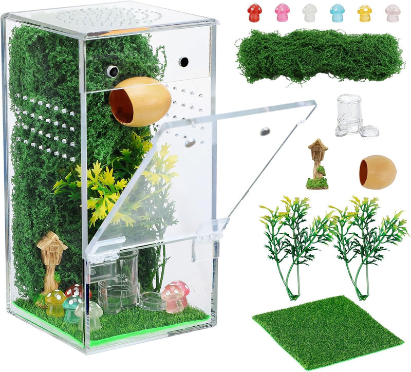 Escape-Proof One-Piece Jumping Spider Enclosure Accessories, Terrarium Kit
