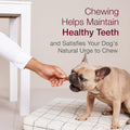 SmartBones Smart Kabobz With Real Chicken, Pork and Duck, Rawhide-Free Chews for Dogs, 18 Count