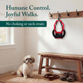 Sporn No Pull Dog Harness, Durable Nylon Mesh Harness for Small Dogs, No Choke Design, Padded Restraint Sleeves, Adjusta